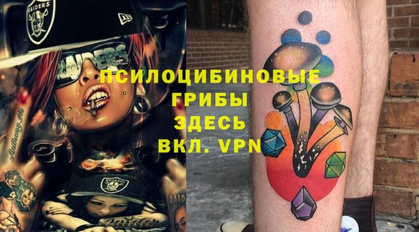 MDMA Богородицк