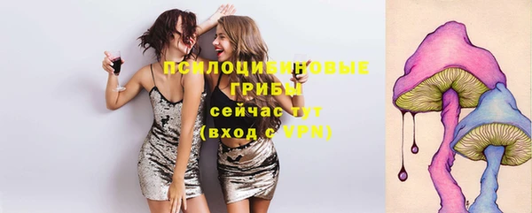 бошки Богородск