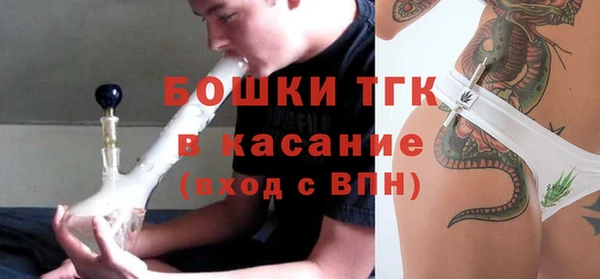 тгк Бородино