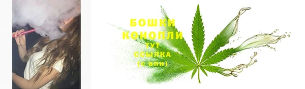тгк Бородино